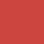05 red idol