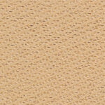 06 - soft ivory/neutral