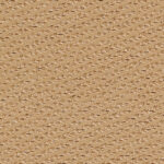 10 - cashmere/cool