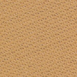 15 - medium sand/neutral